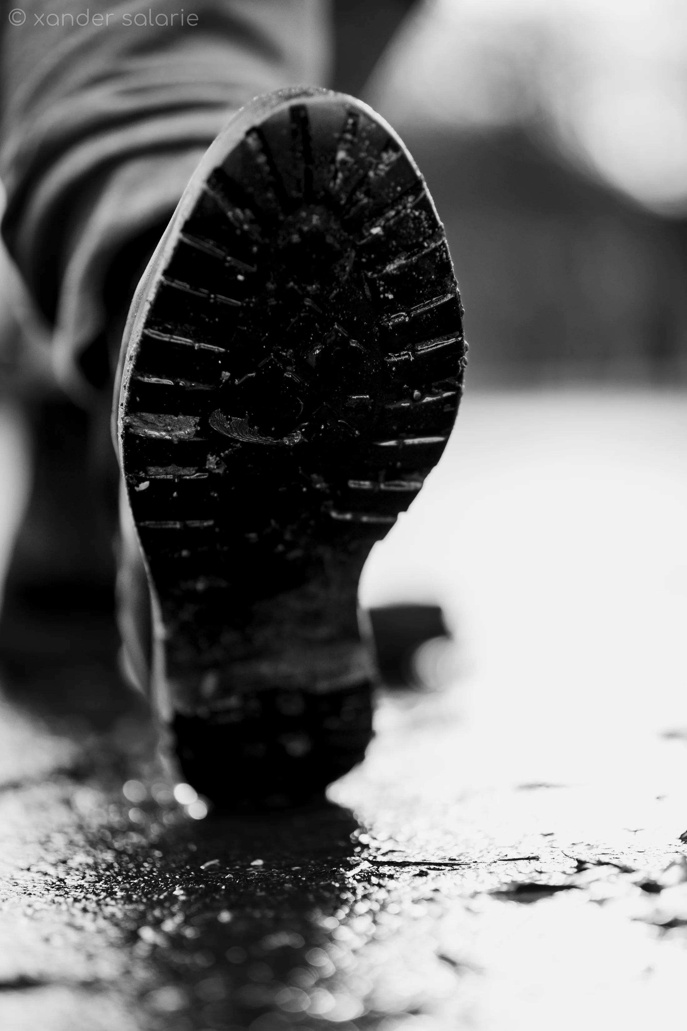 The Shoe